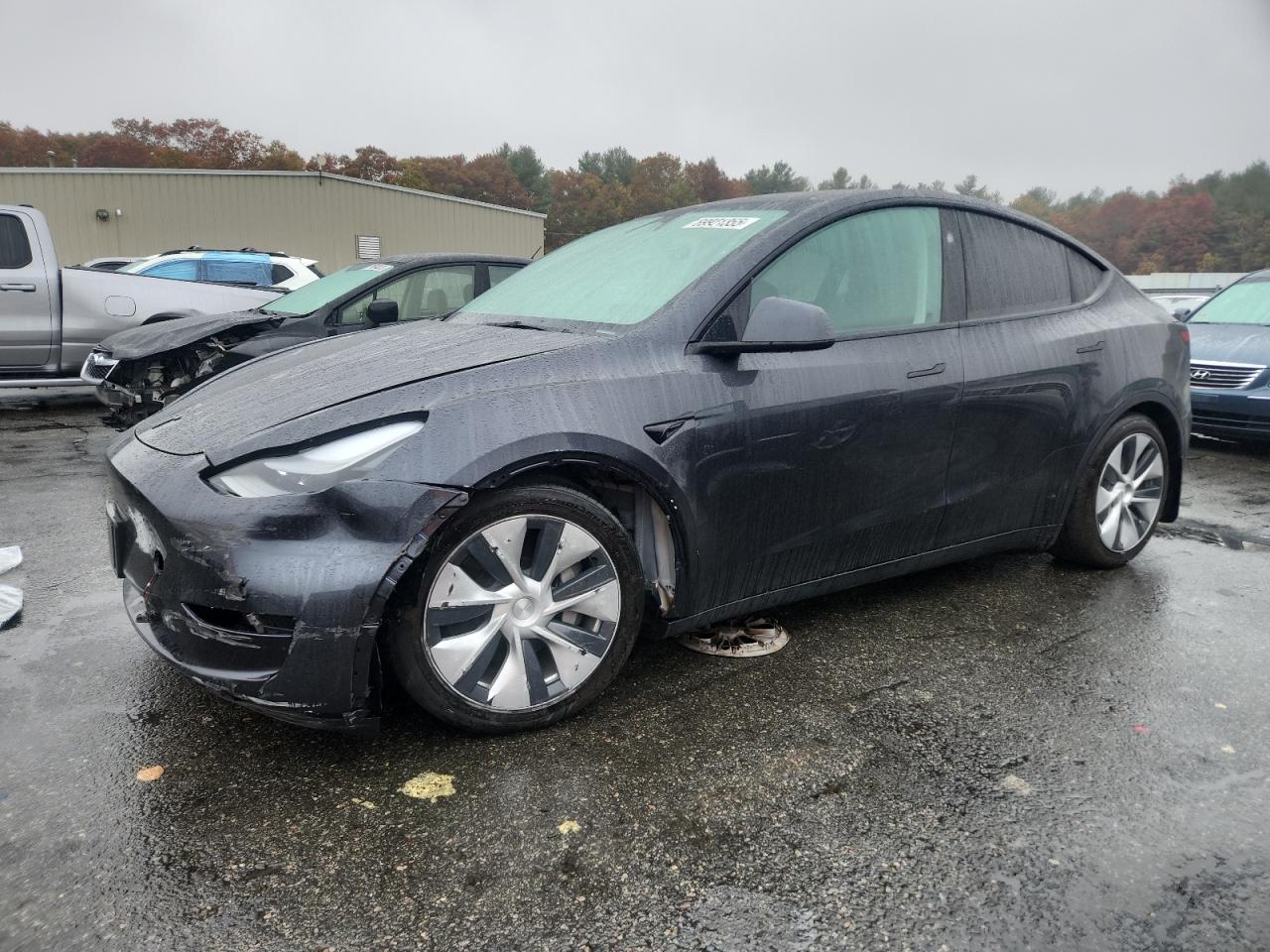 2024 TESLA MODEL Y | 7SAYGDED9RF018824 | UPCARS