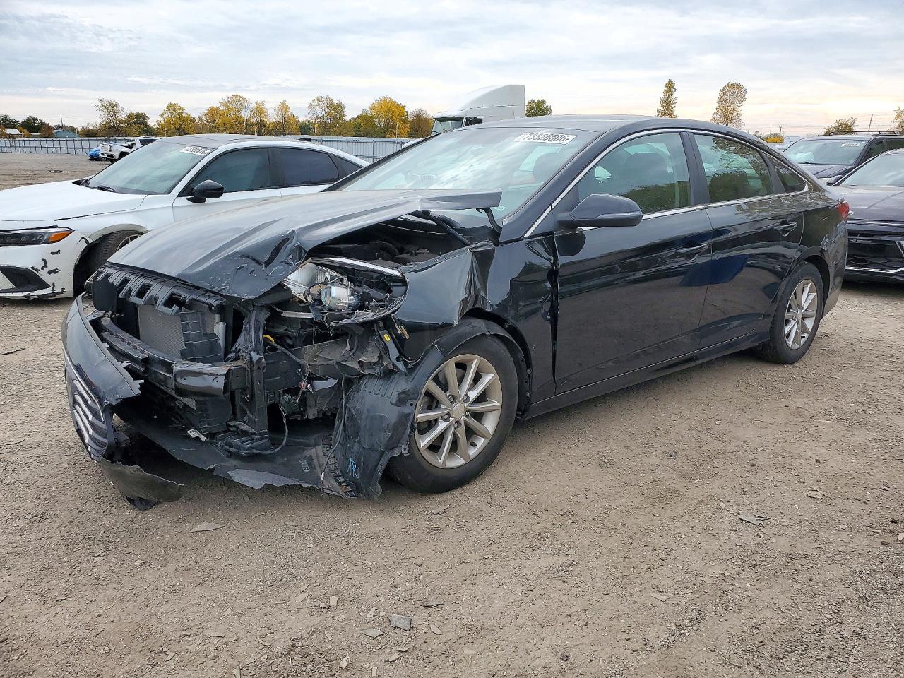 2019 HYUNDAI SONATA SE | 5NPE24AF9KH755793 | UPCARS