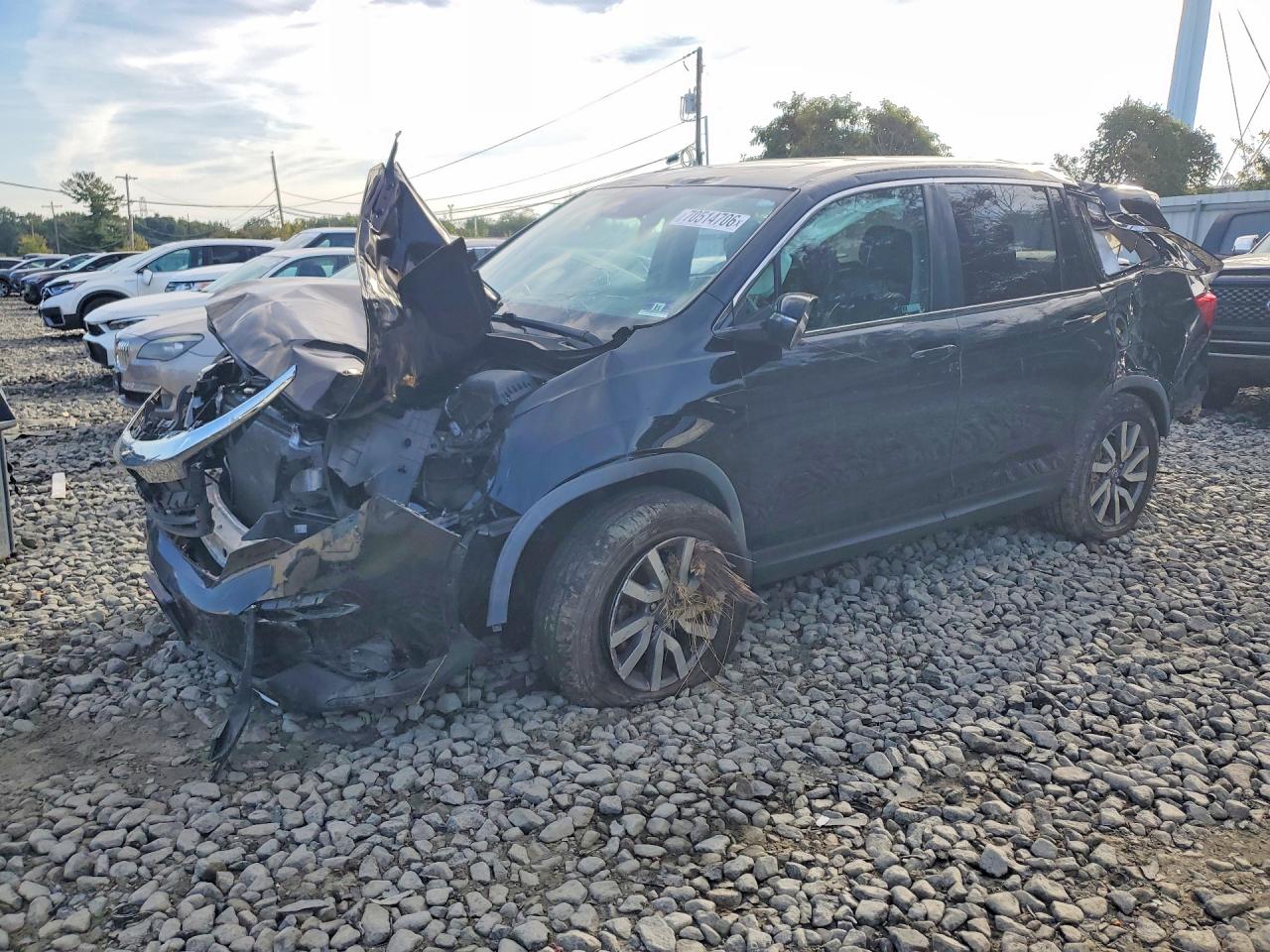2020 HONDA PILOT EXL | 5FNYF6H56LB022286 | UPCARS