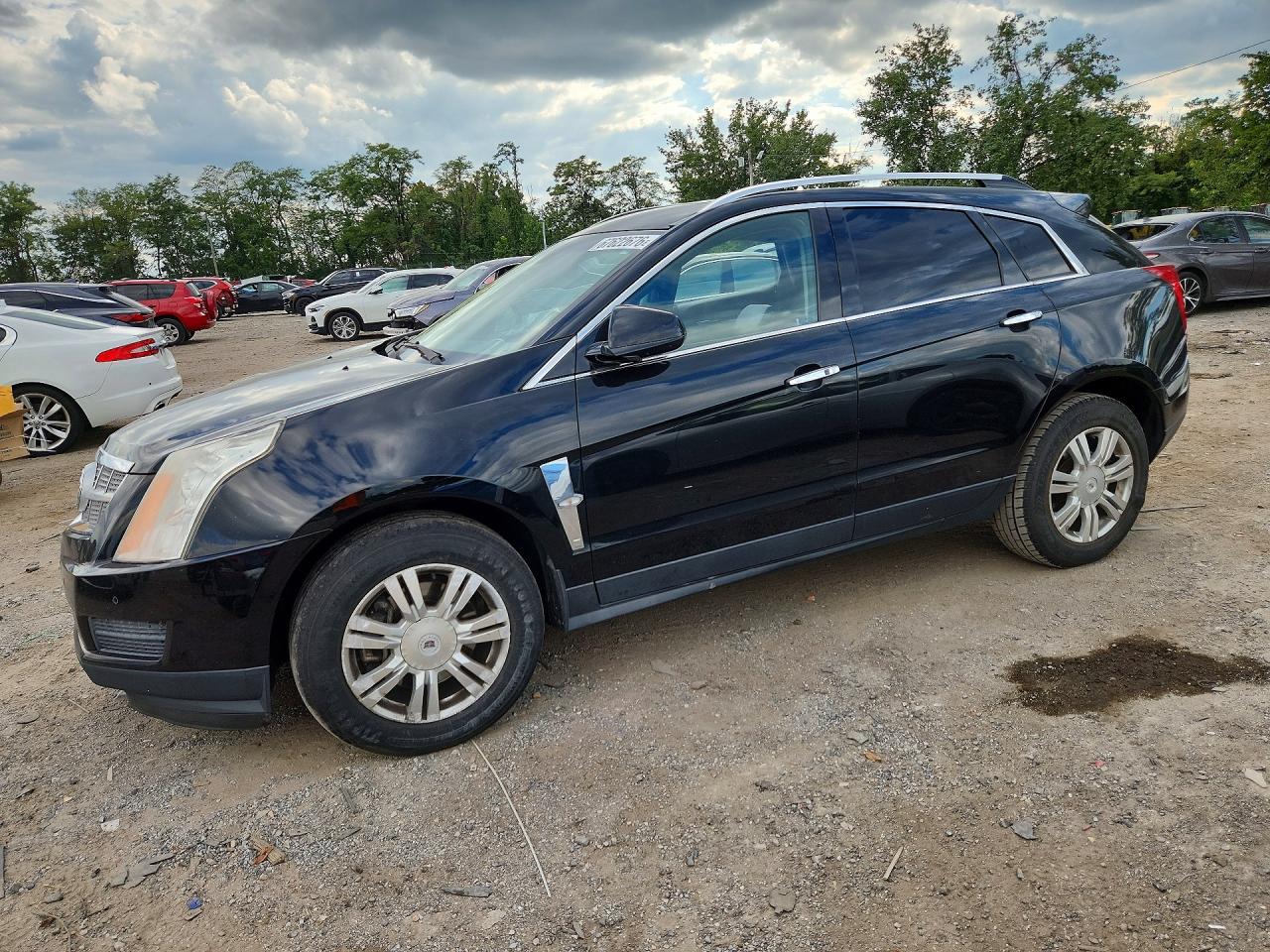 2011 CADILLAC SRX LUXURY COLLECTION | 3GYFNAEYXBS566768 | UPCARS