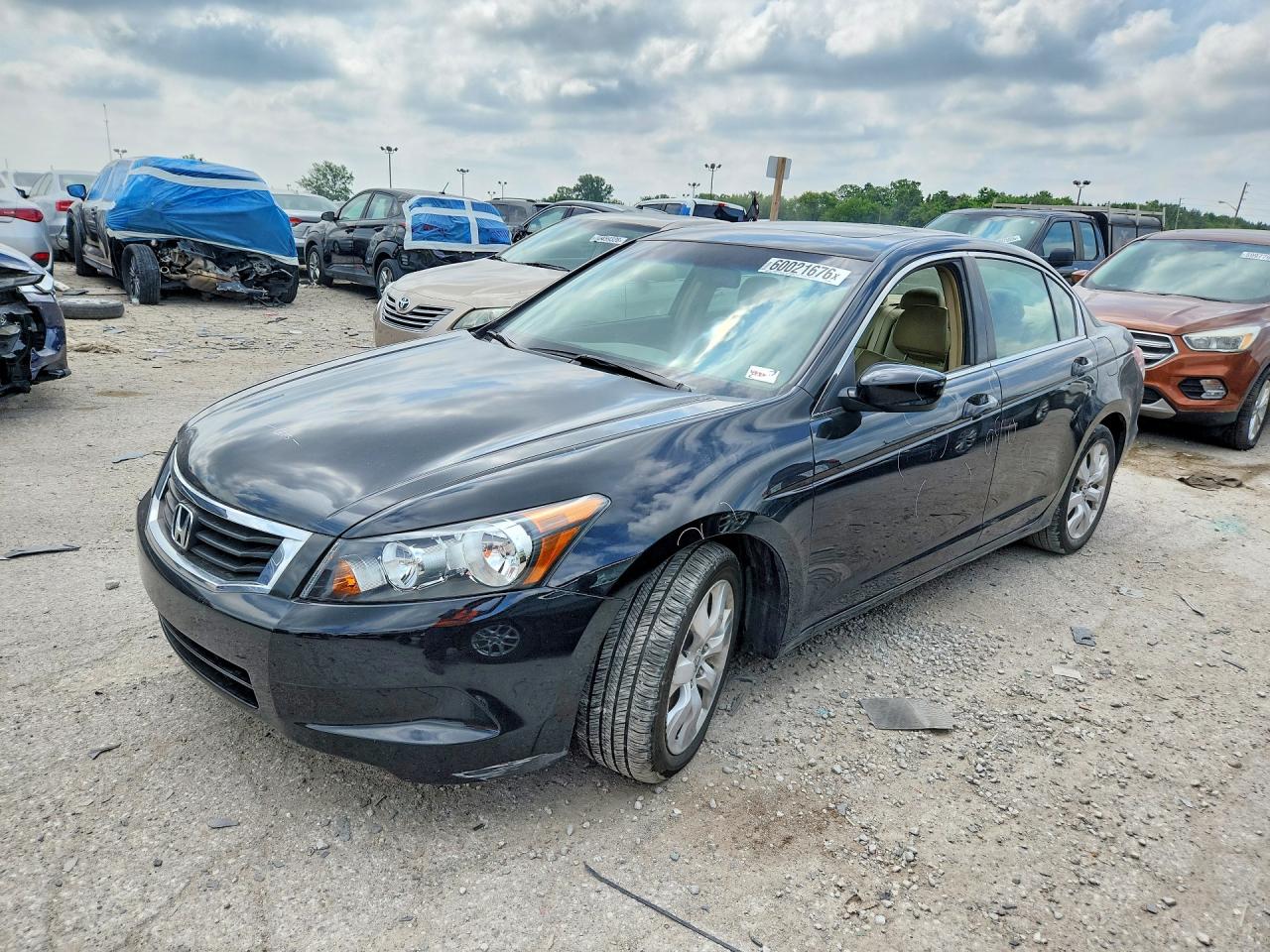 2009 HONDA ACCORD EXL | 1HGCP26809A139264 | UPCARS