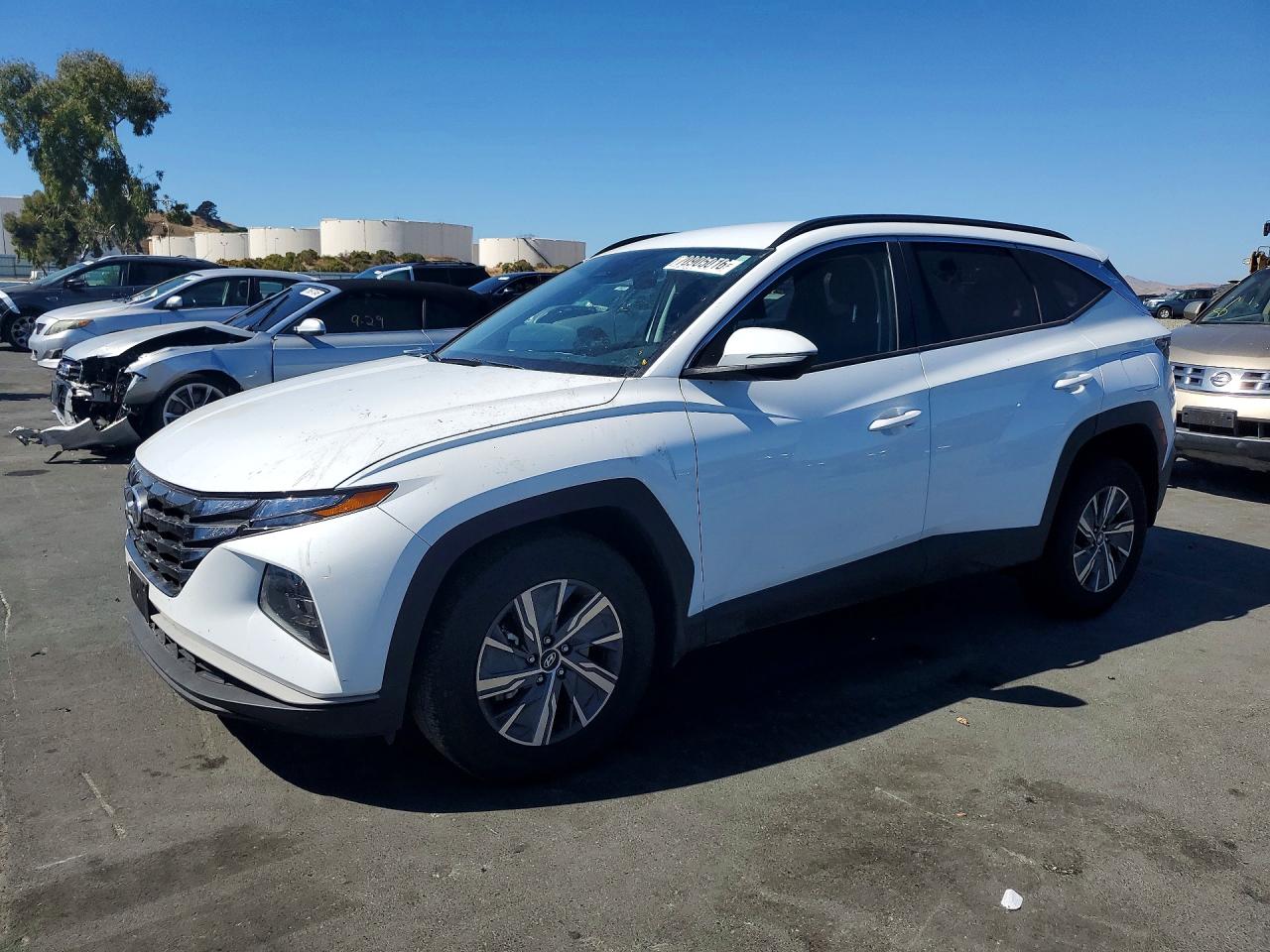 2023 HYUNDAI TUCSON BLUE | KM8JBCA1XPU118918 | UPCARS