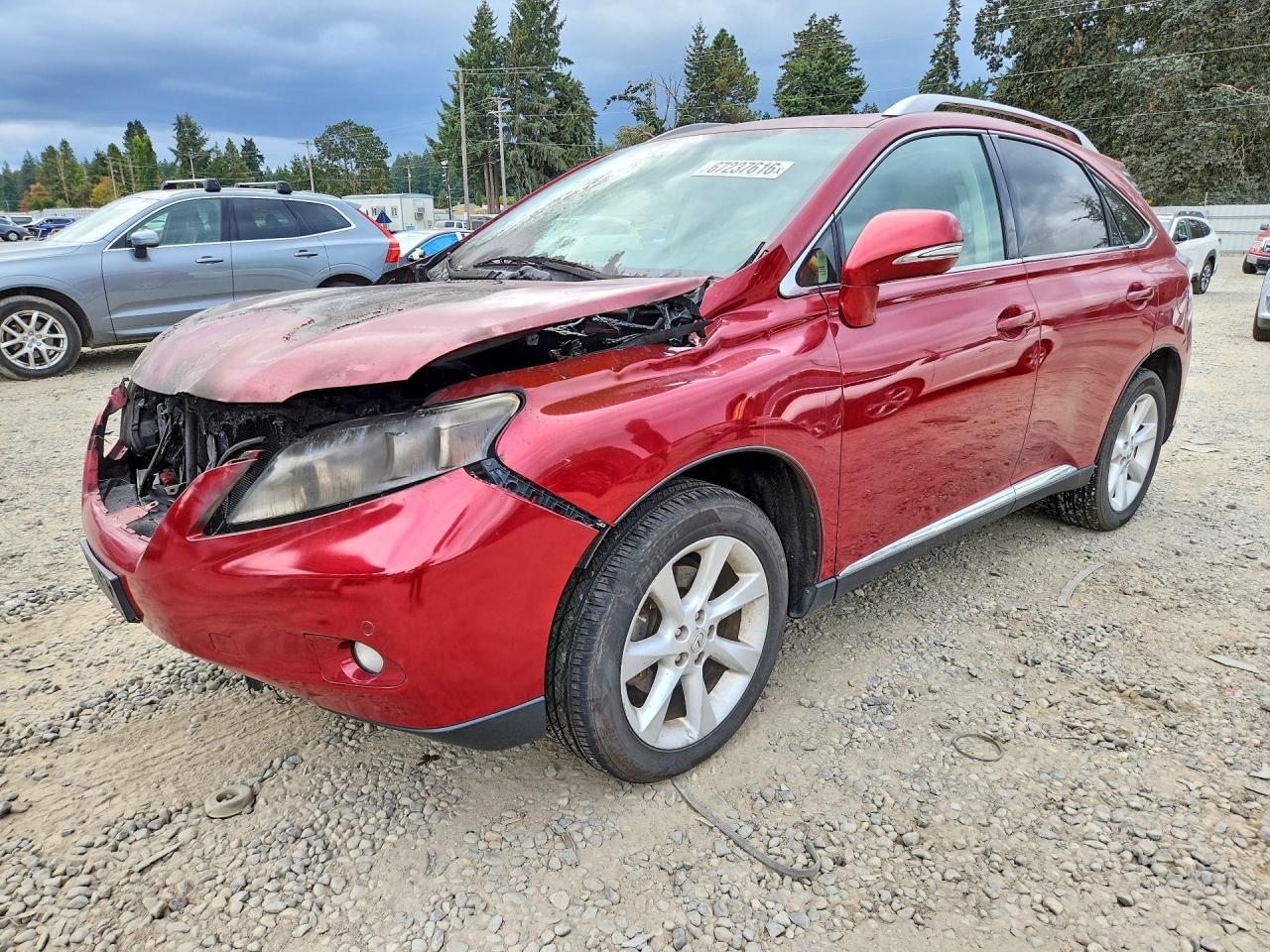 2010 LEXUS RX 350 | 2T2BK1BA5AC027504 | UPCARS