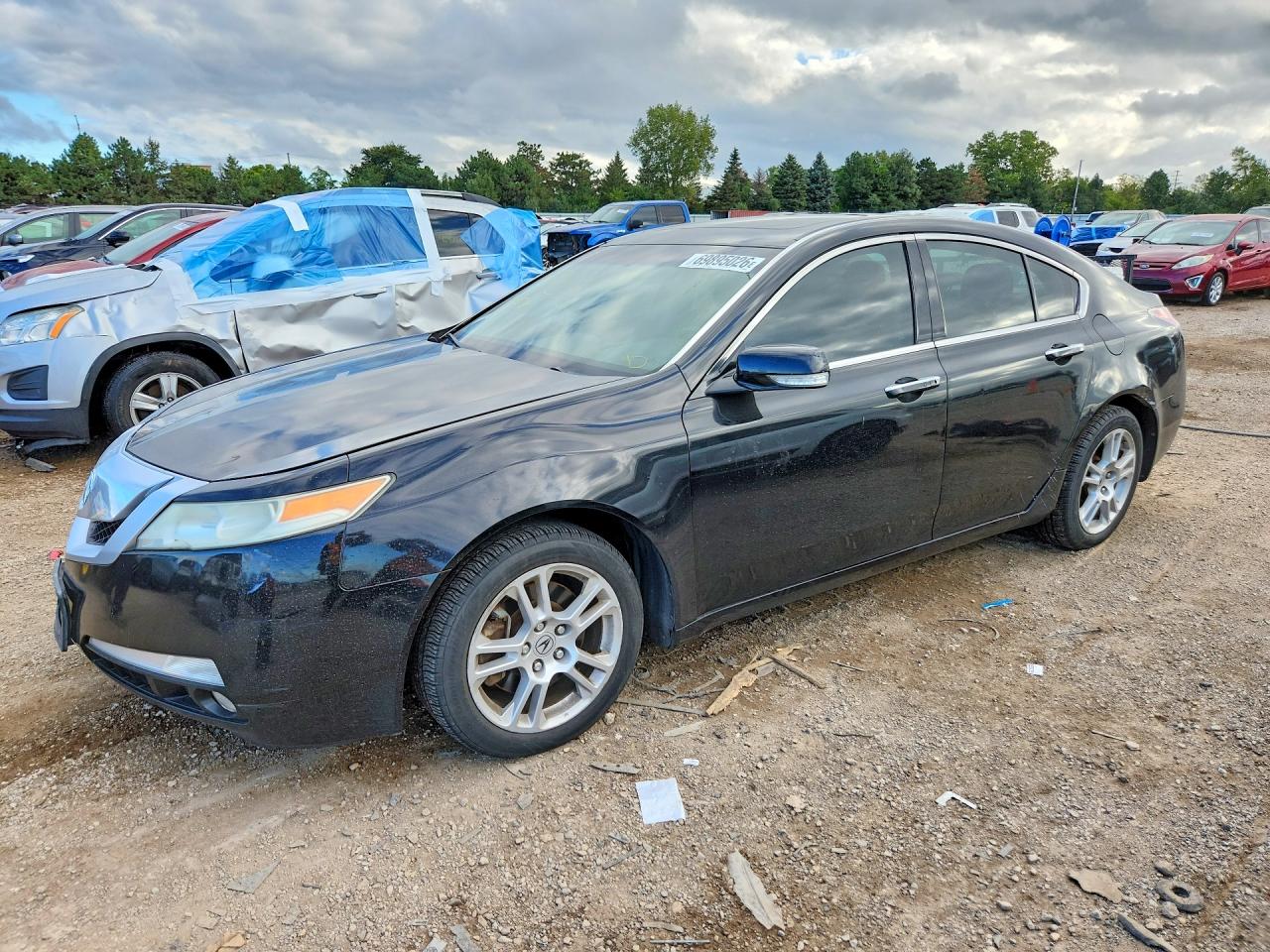 2009 ACURA TL | 19UUA86569A006667 | UPCARS