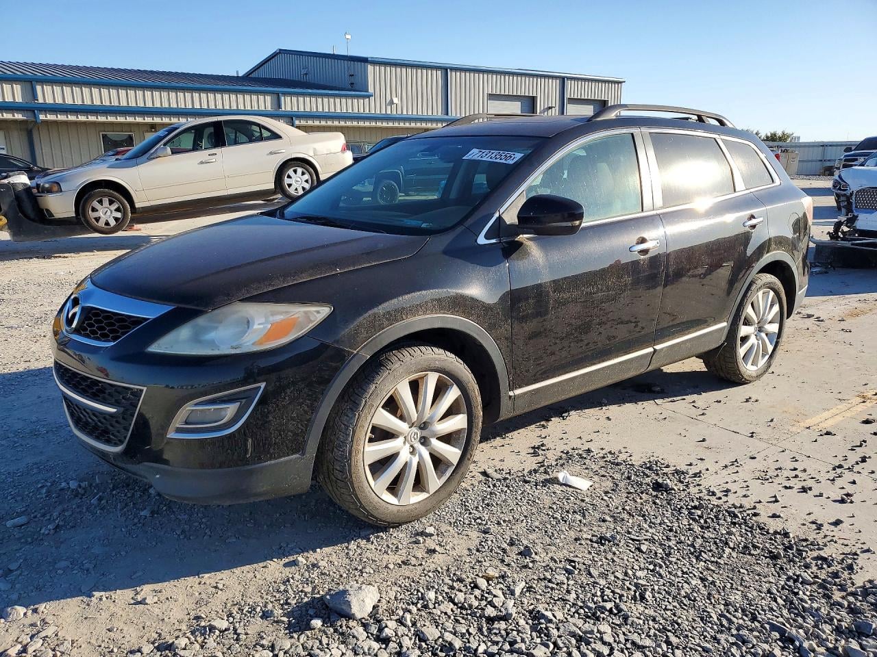 2010 MAZDA CX-9 | JM3TB3MA4A0229530 | UPCARS