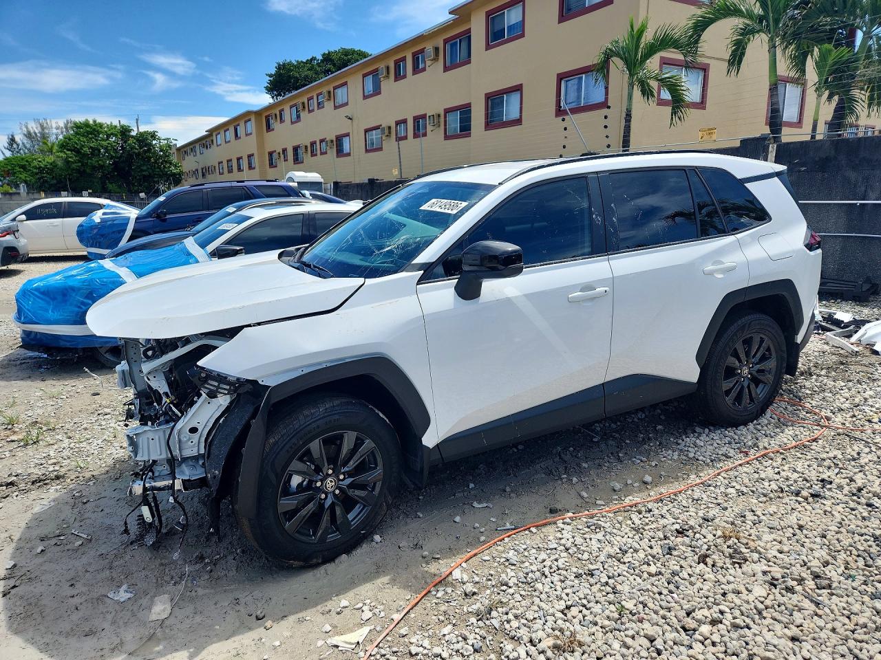 2026 TOYOTA RAV4 XLE PREMIUM | 2T36DRBV8TC013124 | UPCARS