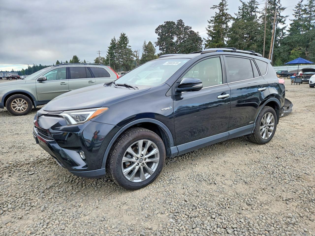 2017 TOYOTA RAV4 LIMITED | JTMDJREV9HD140785 | UPCARS