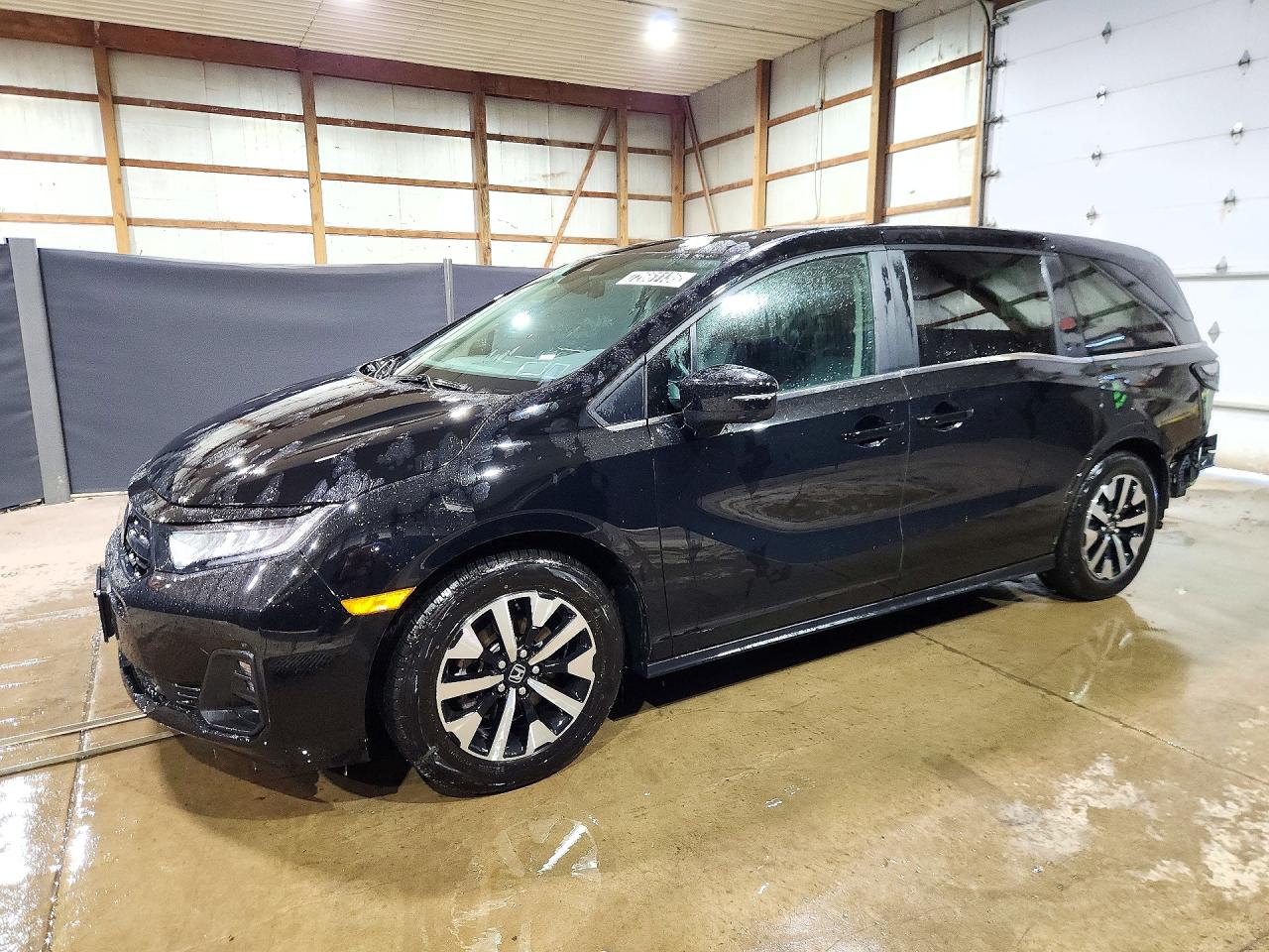 2025 HONDA ODYSSEY EXL | 5FNRL6H65SB081818 | UPCARS