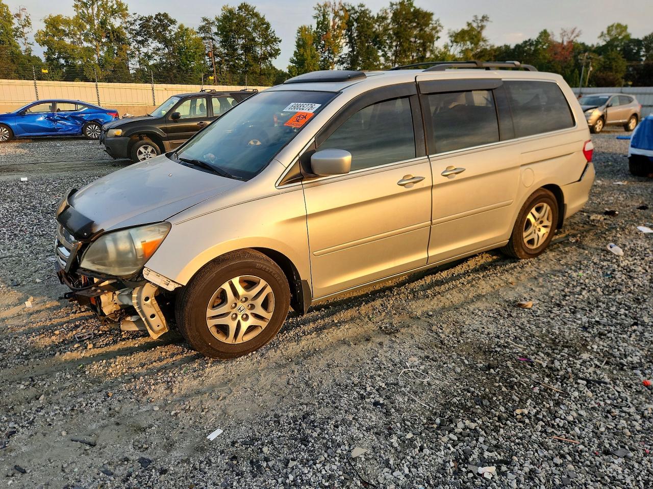 2006 HONDA ODYSSEY EXL | 5FNRL38656B443344 | UPCARS
