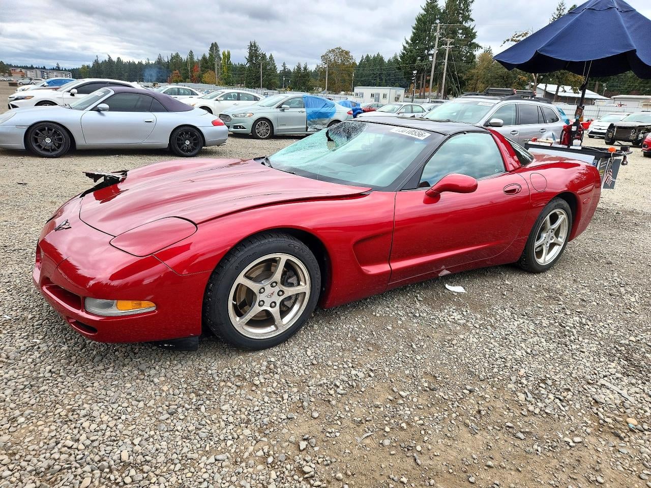 2004 CHEVROLET CORVETTE | 1G1YY22G745123006 | UPCARS