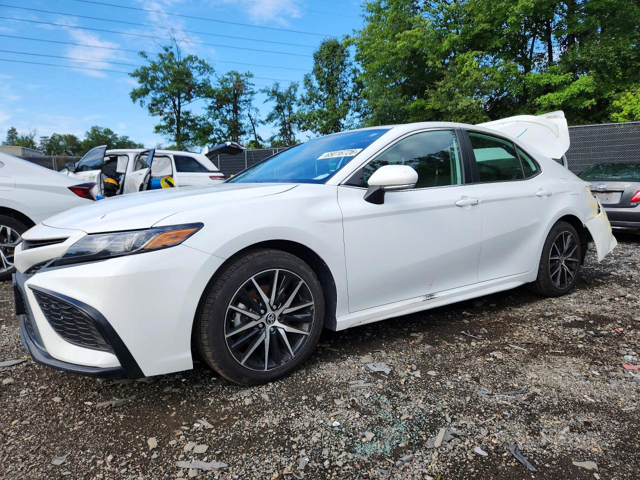 2023 TOYOTA CAMRY SE | 4T1G11AK9PU824272 | UPCARS