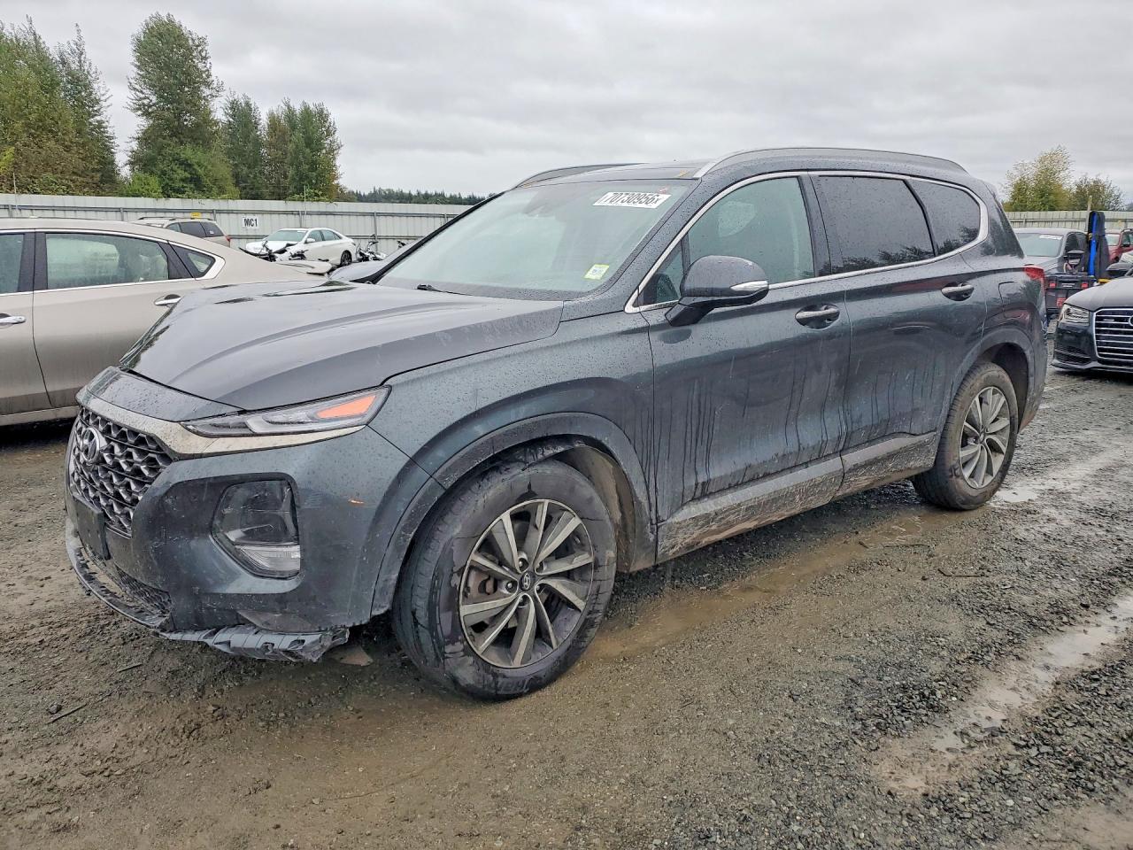 2020 HYUNDAI SANTA FE LIMITED | 5NMS5CAD7LH229938 | UPCARS