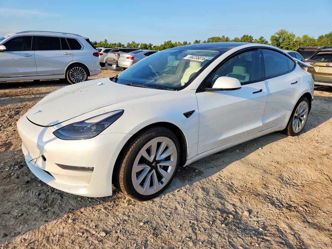 2021 TESLA MODEL 3 | 5YJ3E1EBXMF903505 | UPCARS