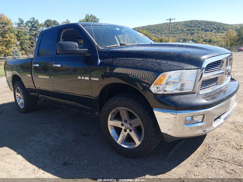 2010 DODGE RAM 1500 SLT/SPORT/TRX | 1D7RV1GT0AS135151 | UPCARS