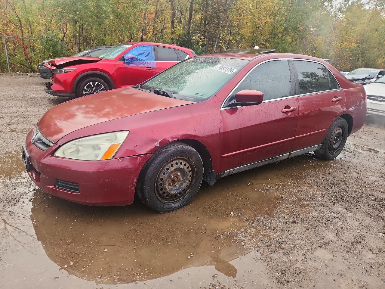2006 HONDA ACCORD LX | 1HGCM66386A801091 | UPCARS
