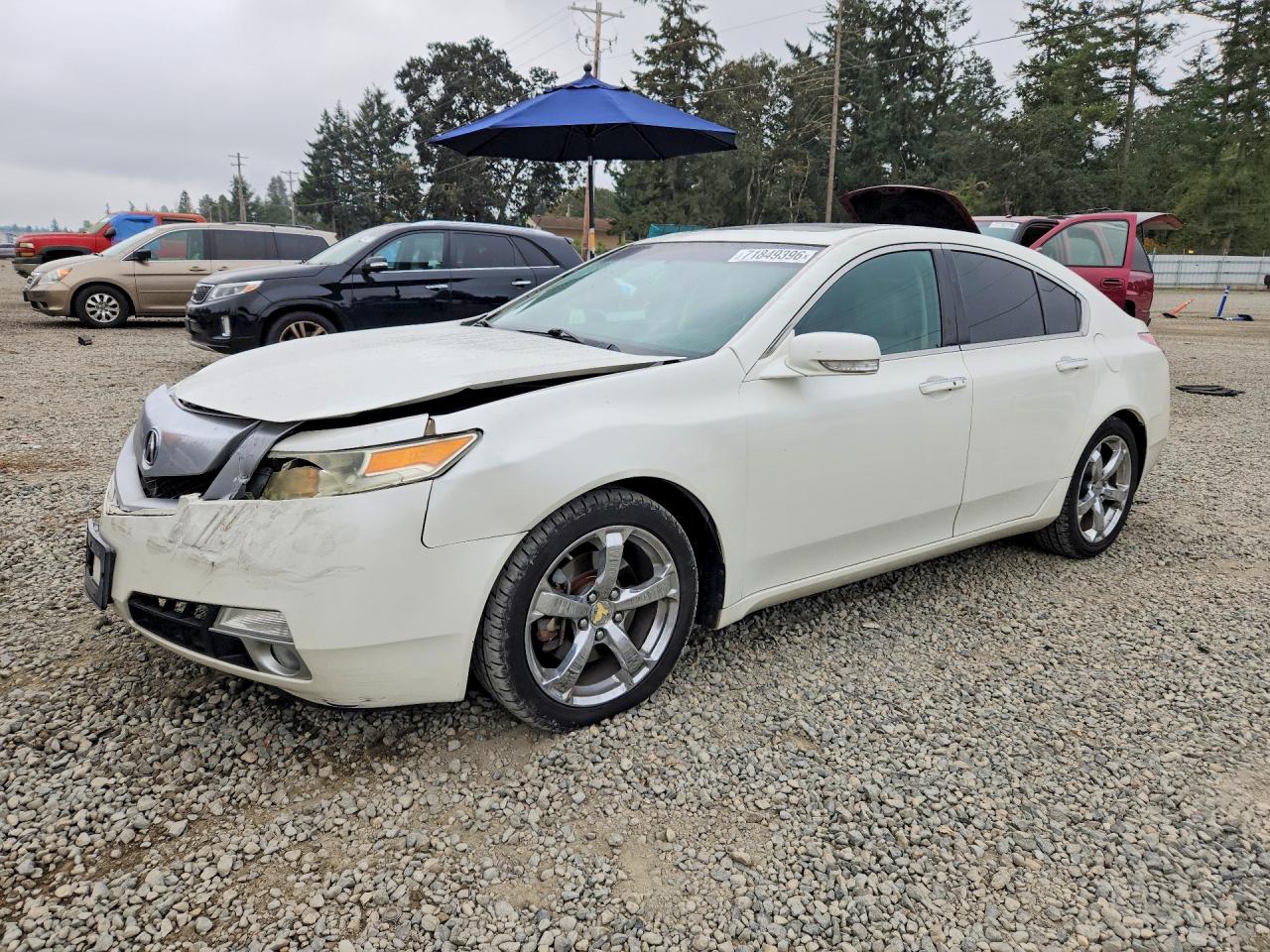 2009 ACURA TL | 19UUA96559A002390 | UPCARS