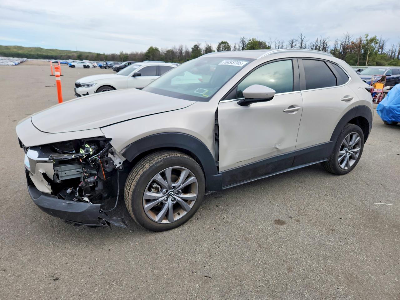 2024 MAZDA CX30 PREFERRED | 3MVDMBCM1RM712199 | UPCARS