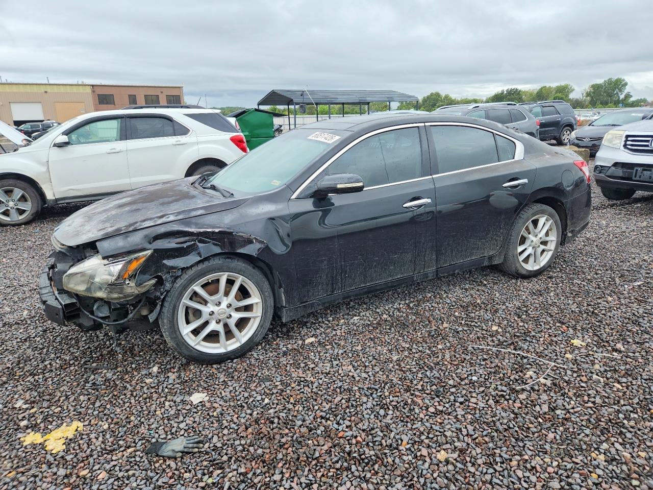 2009 NISSAN MAXIMA 3.5 S | 1N4AA51E59C834307 | UPCARS