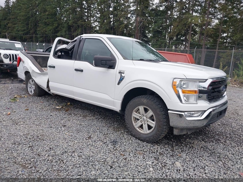 2021 FORD F-150 XLT | 1FTFW1E88MFA62083 | UPCARS