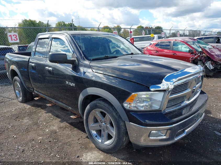 2010 DODGE RAM 1500 SLT/SPORT/TRX | 1D7RV1GP0AS263103 | UPCARS