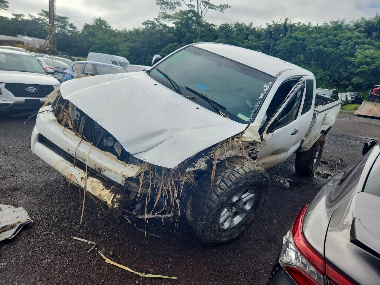 2007 TOYOTA TACOM ACCESS CAB | 5TEUU42N67Z439607 | UPCARS