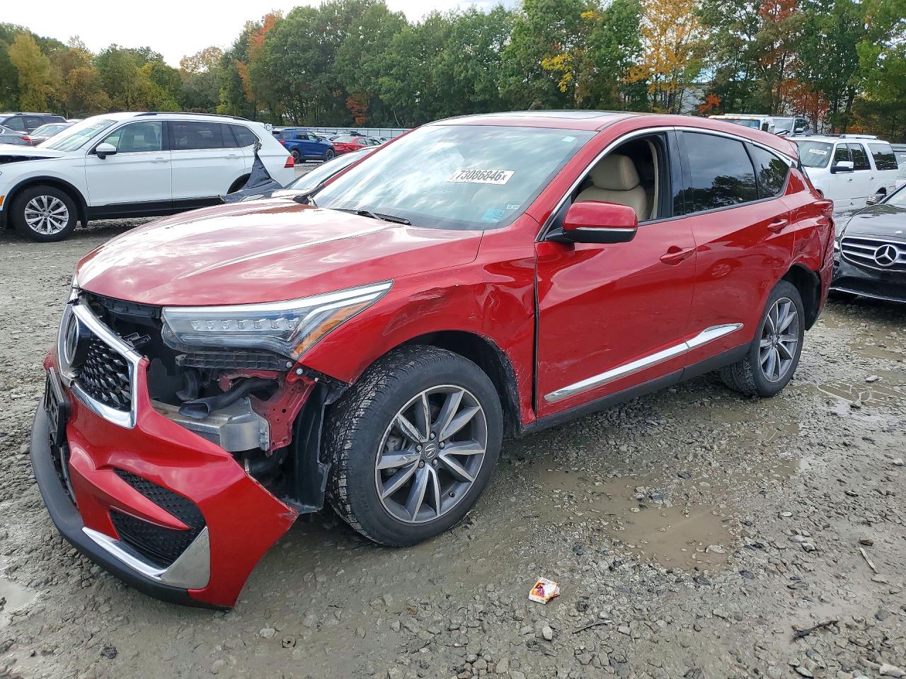 2019 ACURA RDX TECHNOLOGY | 5J8TC2H55KL005567 | UPCARS