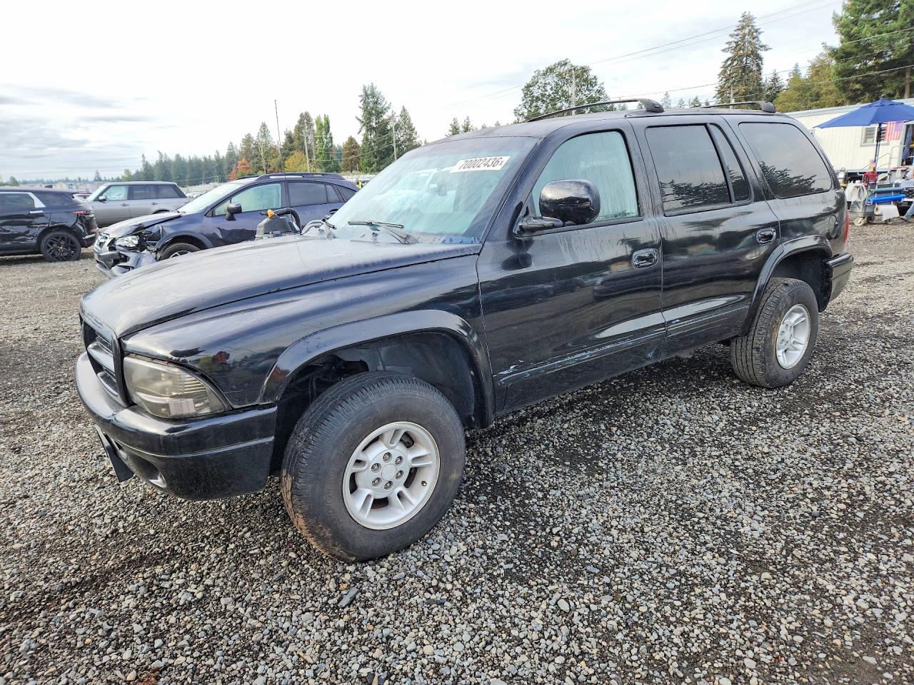 1999 DODGE DURANGO | 1B4HS28Z5XF655352 | UPCARS