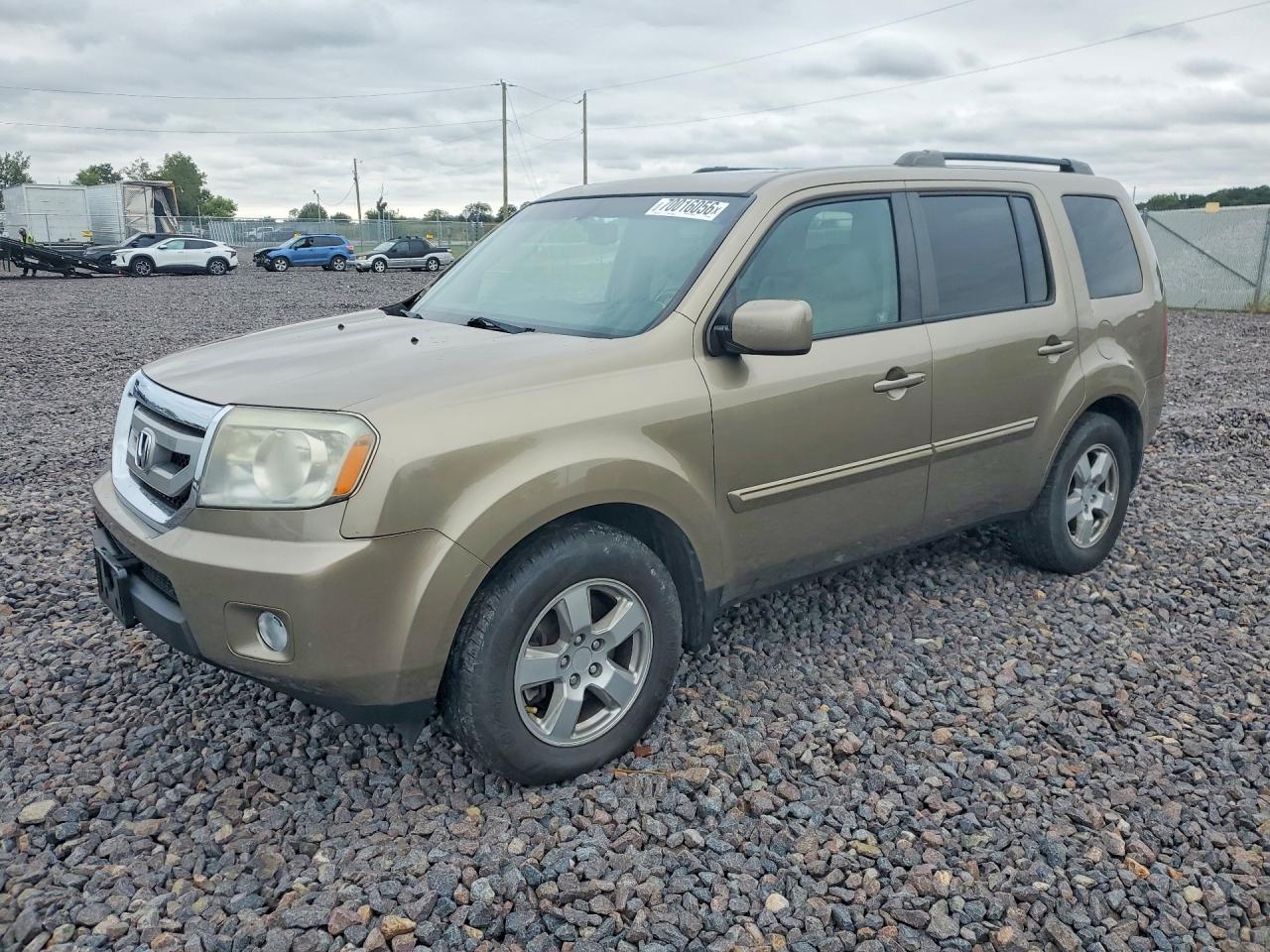 2011 HONDA PILOT EXL | 5FNYF4H59BB079455 | UPCARS