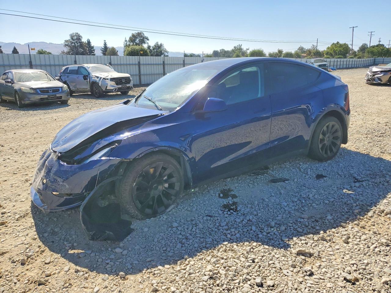 2024 TESLA MODEL Y | 7SAYGAEE9RF983478 | UPCARS