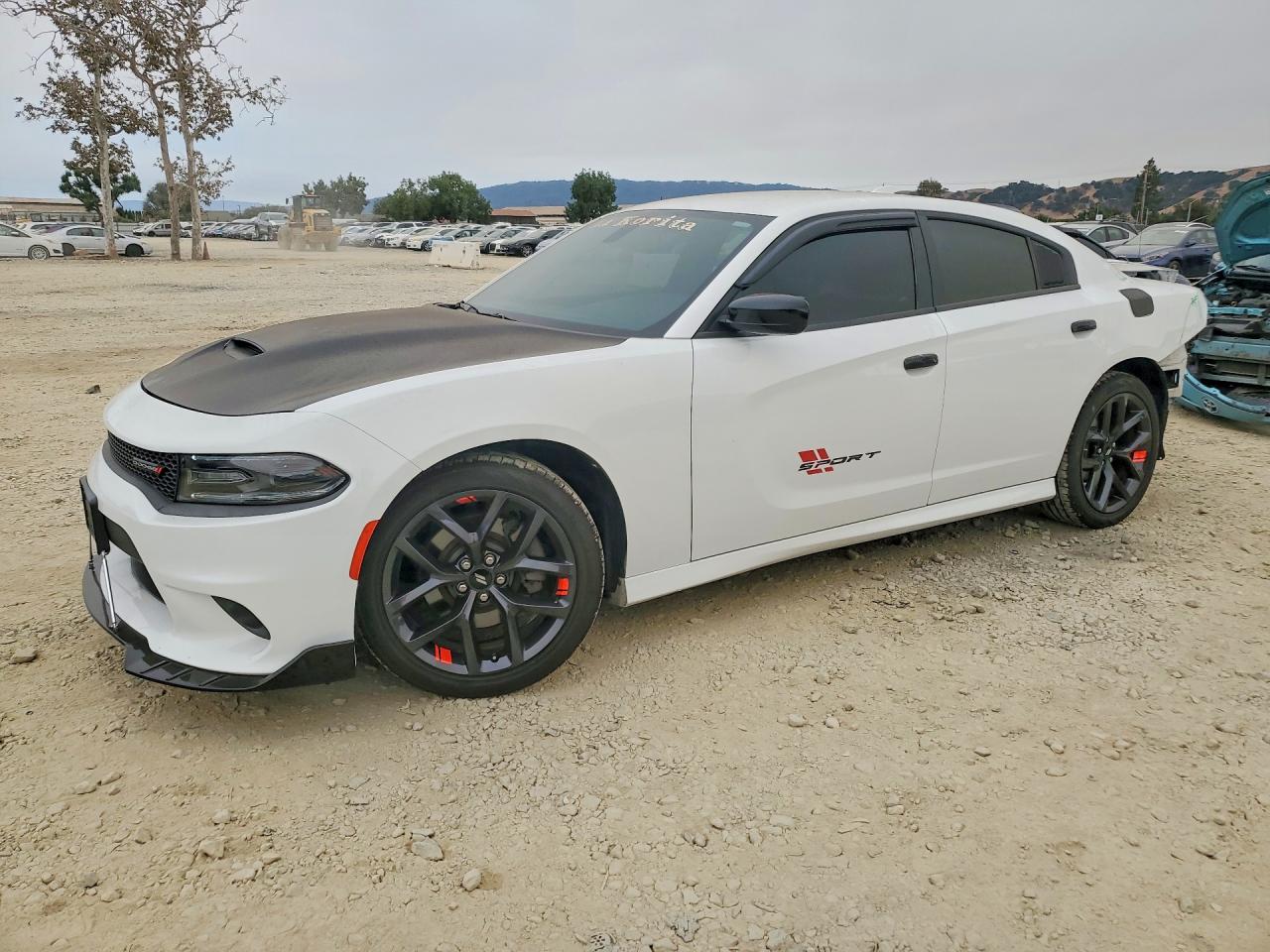 2019 DODGE CHARGER GT | 2C3CDXHG0KH701149 | UPCARS