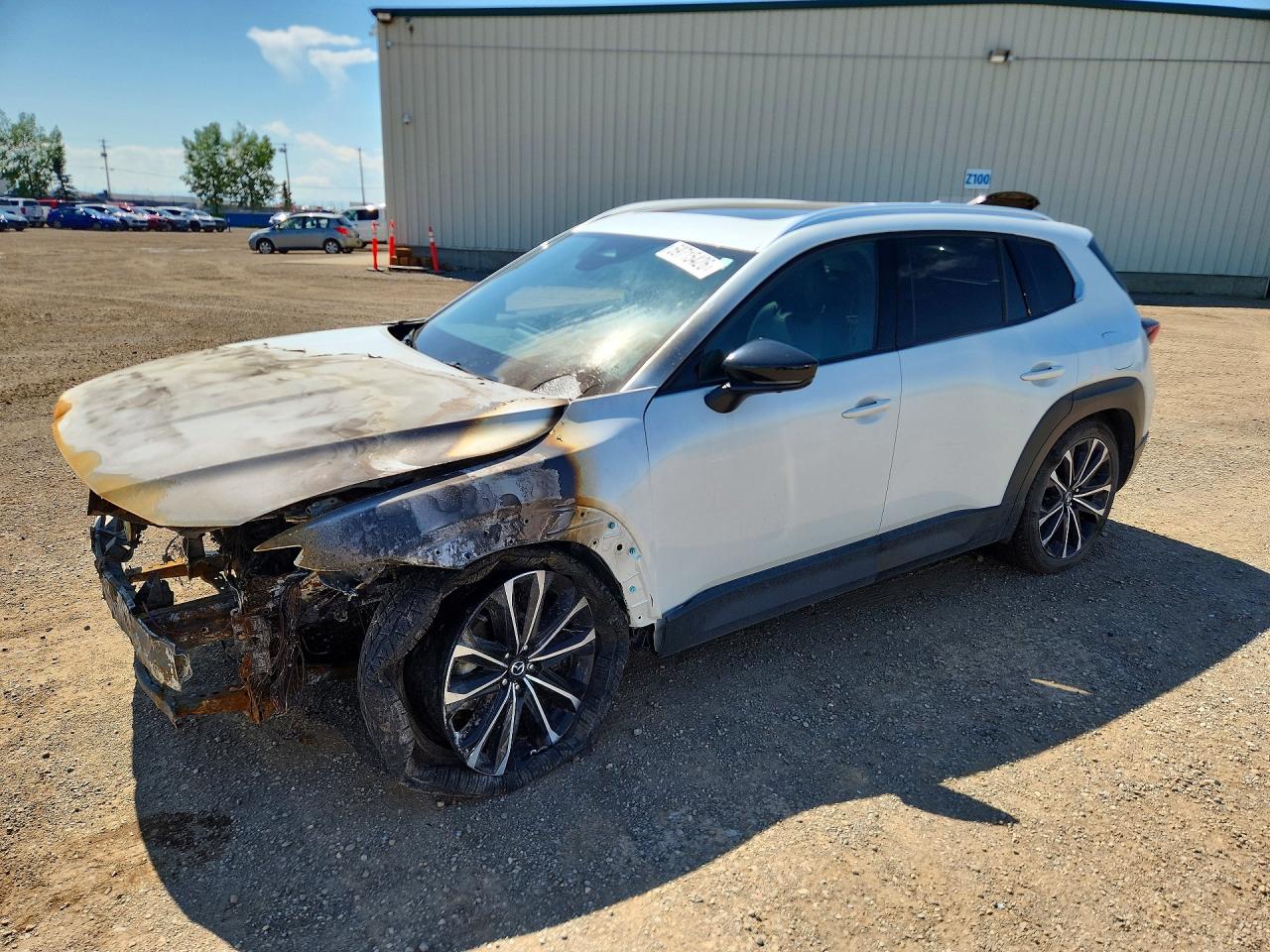 2025 MAZDA CX-50 PREMIUM | 7MMVABDYXSN328045 | UPCARS