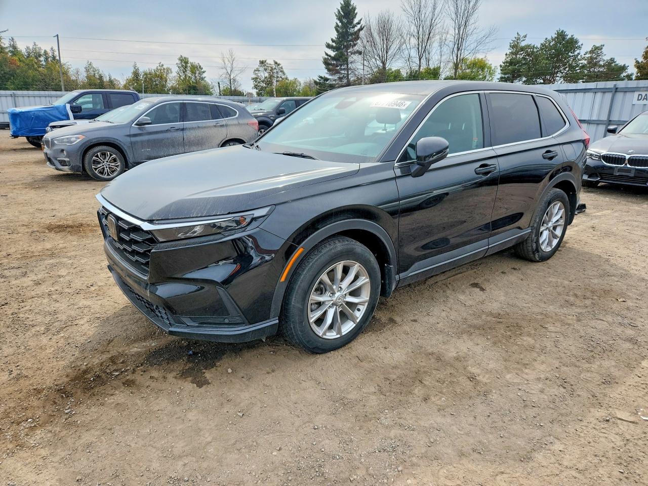2023 HONDA CRV EXL | 2HKRS4H76PH105360 | UPCARS