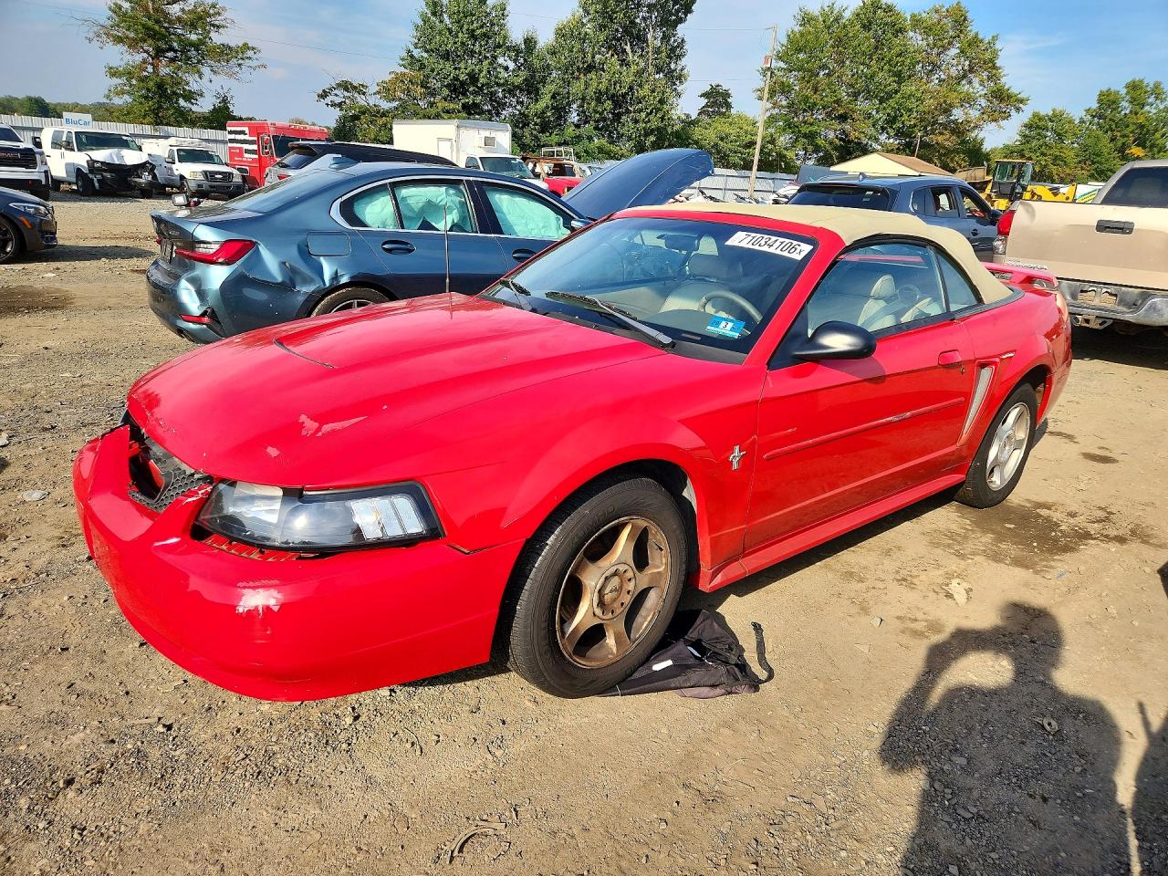 2003 FORD MUSTANG | 1FAFP44493F420857 | UPCARS