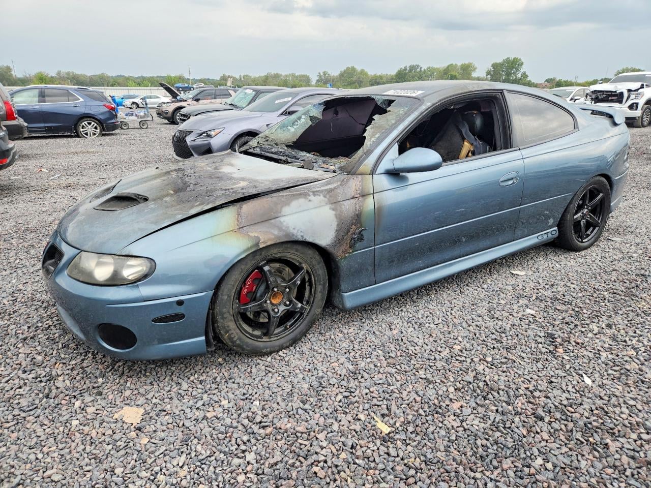 2006 PONTIAC GTO | 6G2VX12U86L548785 | UPCARS