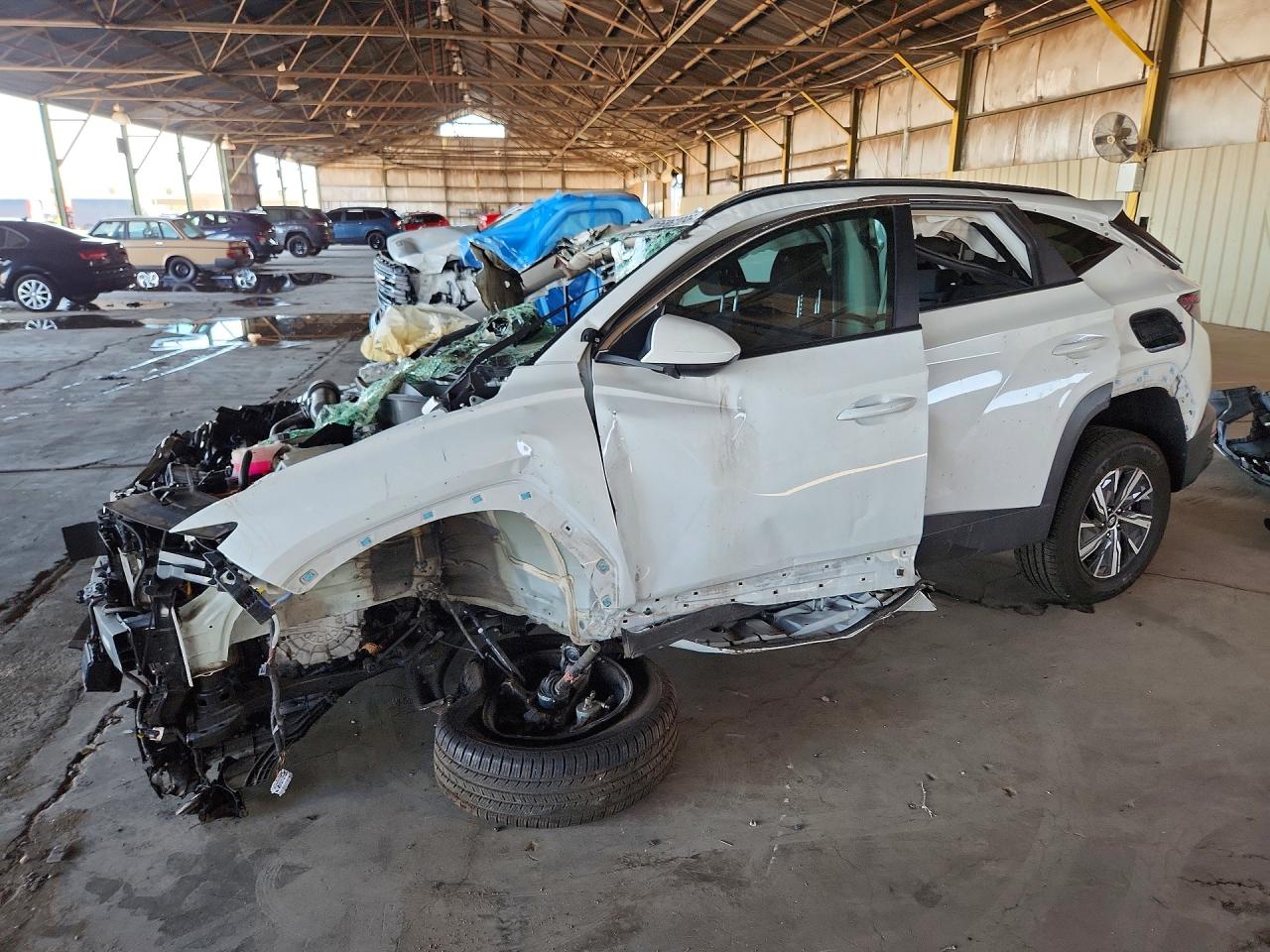 2024 HYUNDAI TUCSON BLUE | KM8JBCD11RU228464 | UPCARS