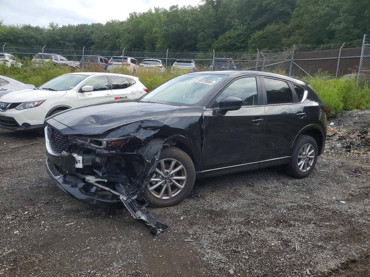 2025 MAZDA CX-5 SELECT | JM3KFBBL7S0614628 | UPCARS