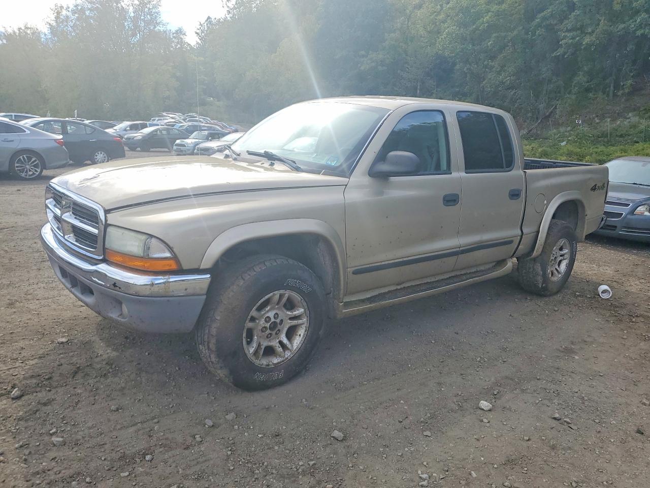 2004 DODGE DAKOTA | 1D7HG48N14S504871 | UPCARS