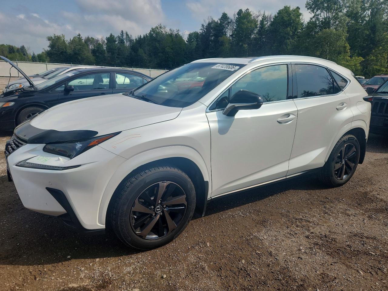 2020 LEXUS NX 300 | JTJGARDZ6L2229491 | UPCARS