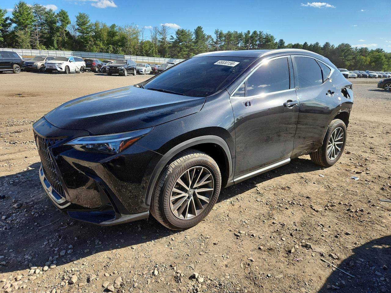 2026 LEXUS NX BASE | 2T2AGCEZ6TC116169 | UPCARS