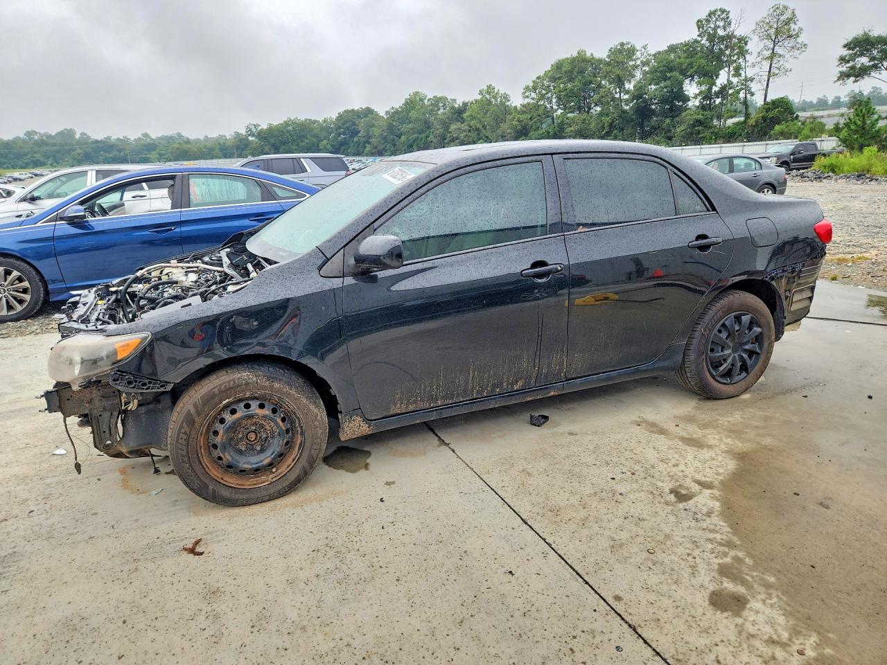 2010 TOYOTA COROLLA LE | 2T1BU4EE8AC504991 | UPCARS