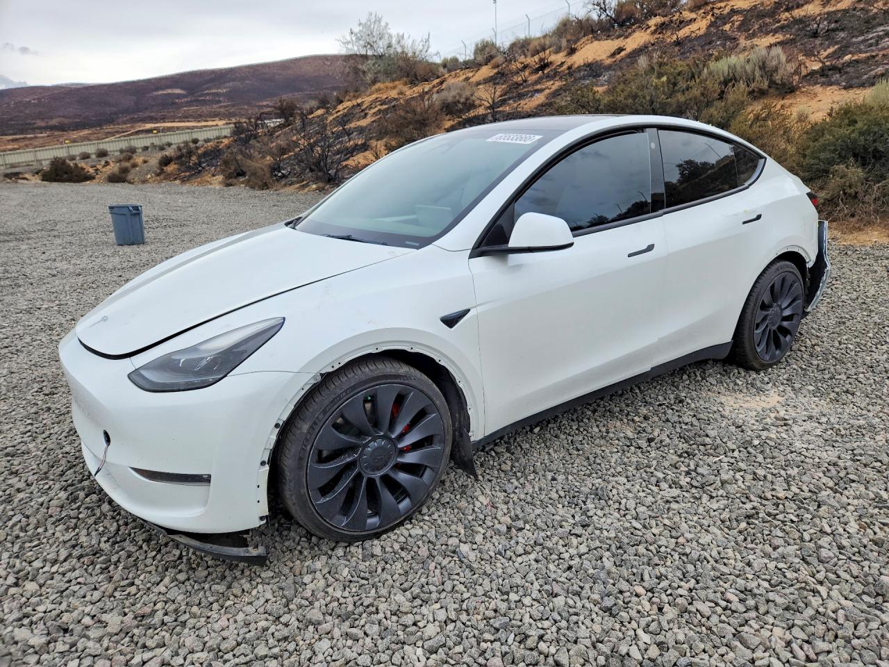 2023 TESLA MODEL Y | 7SAYGDEF4PF690045 | UPCARS