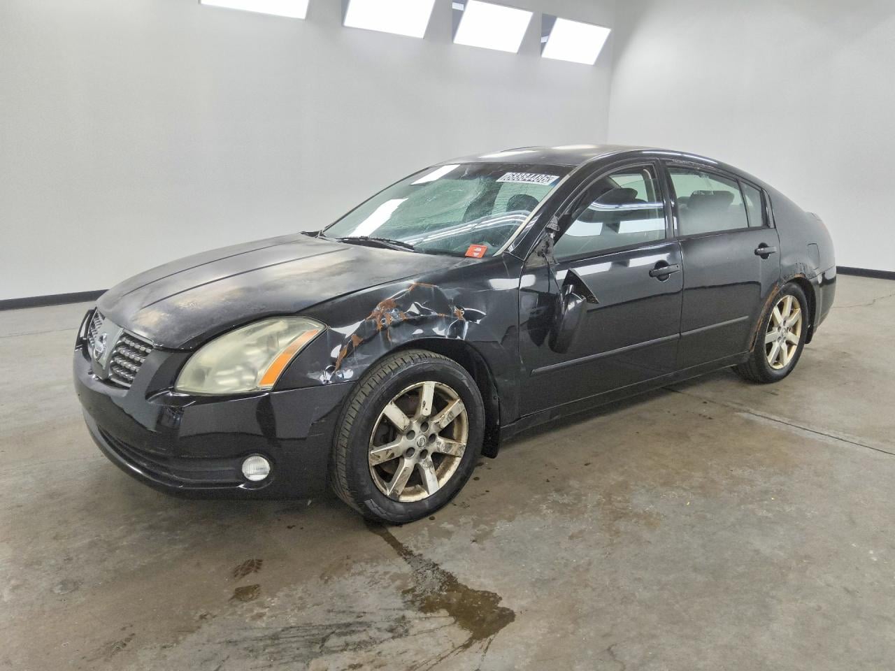2005 NISSAN MAXIMA 3.5 SE | 1N4BA41E05C858409 | UPCARS