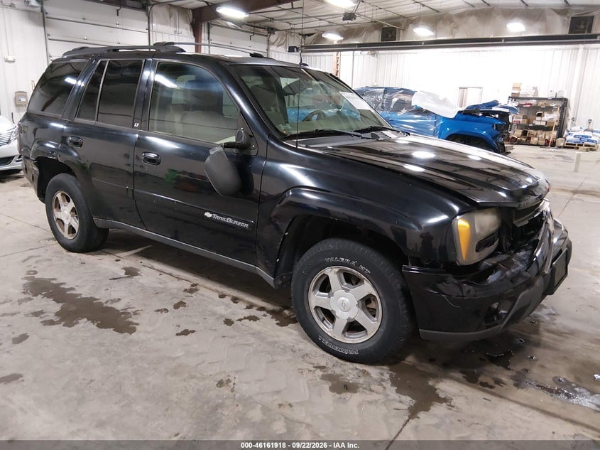 2004 CHEVROLET TRAILBLAZER LT | 1GNDT13S642307802 | UPCARS