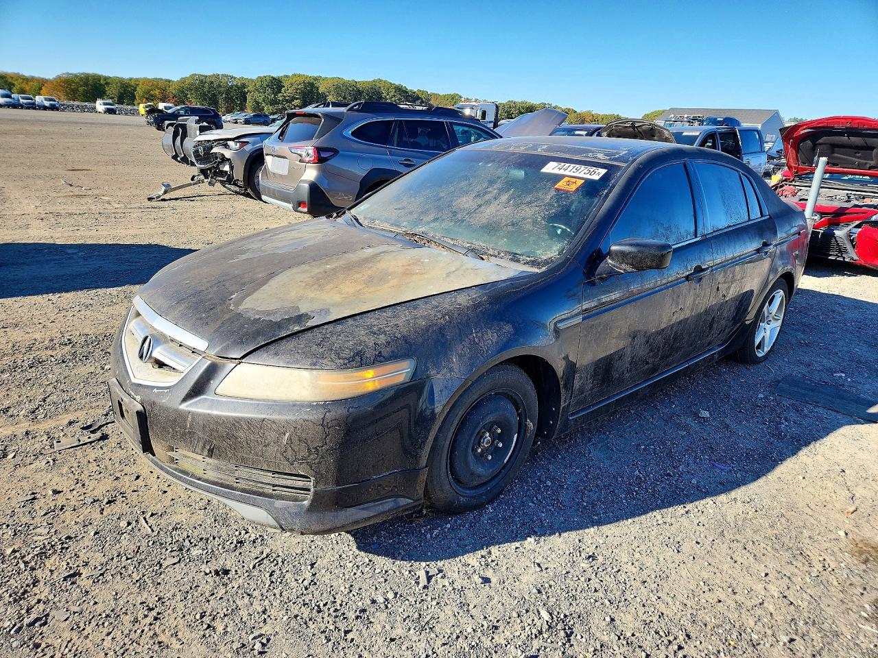 2004 ACURA TL | 19UUA66214A044424 | UPCARS