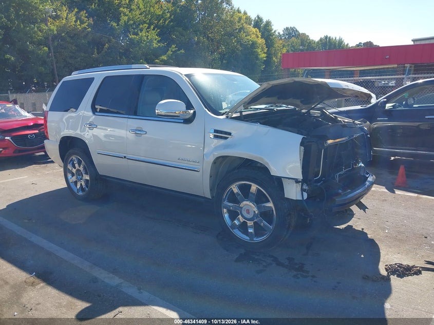 2011 CADILLAC ESCALADE PREMIUM | 1GYS4CEF5BR269440 | UPCARS