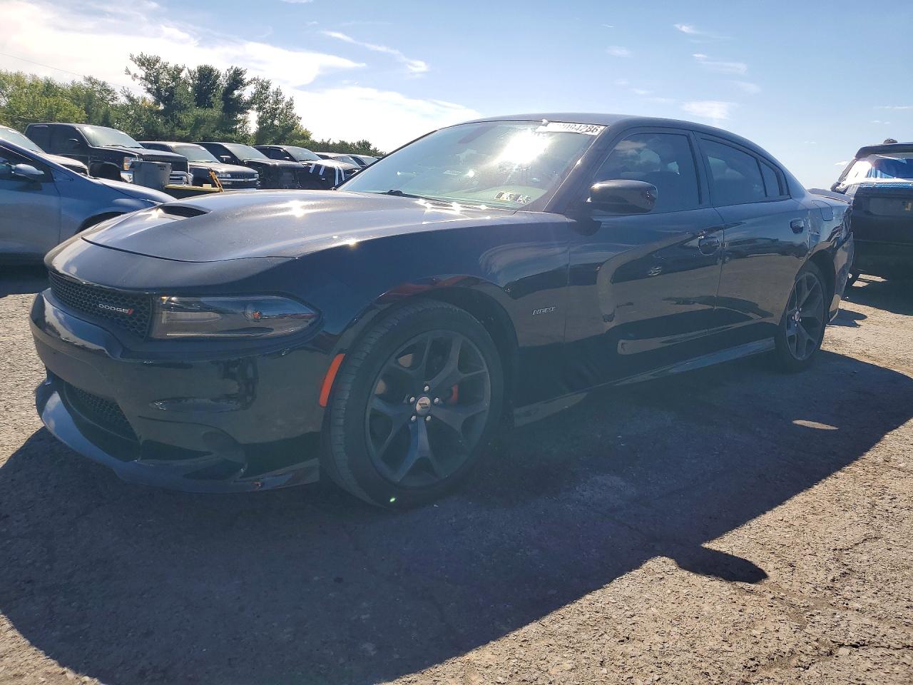 2019 DODGE CHARGE R/T | 2C3CDXCT7KH575196 | UPCARS
