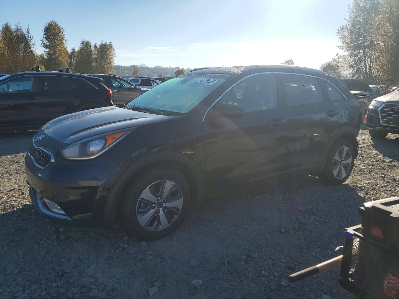 2018 KIA NIRO LX | KNDCM3LD2J5210976 | UPCARS