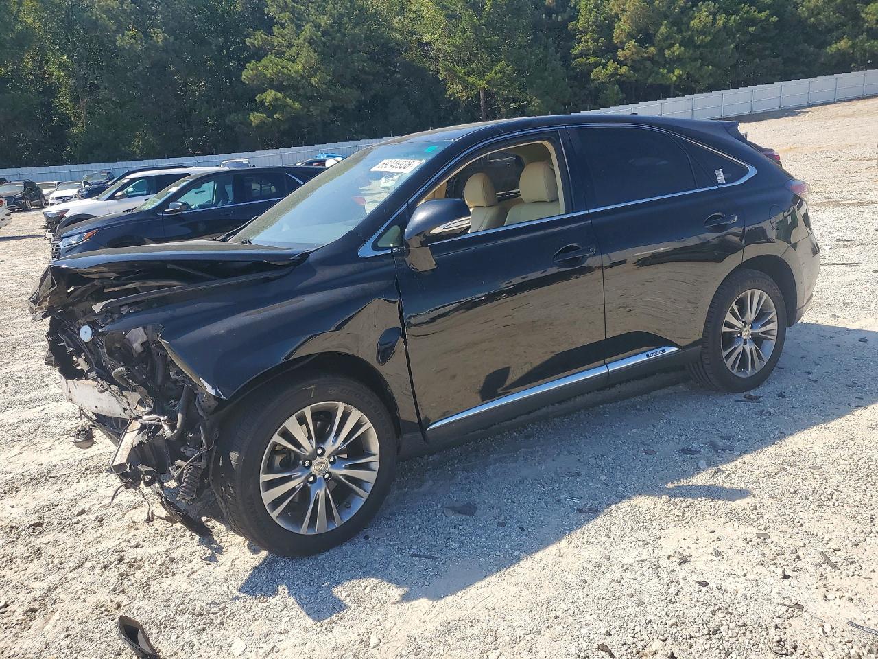 2014 LEXUS RX 450H | JTJZB1BA1E2009683 | UPCARS