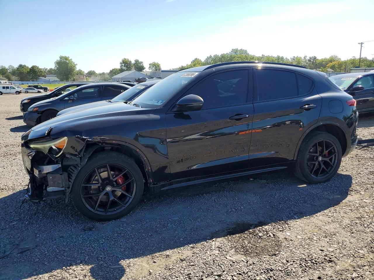 2020 ALFA ROMEO STELVIO TI | ZASPAKBN1L7C76075 | UPCARS