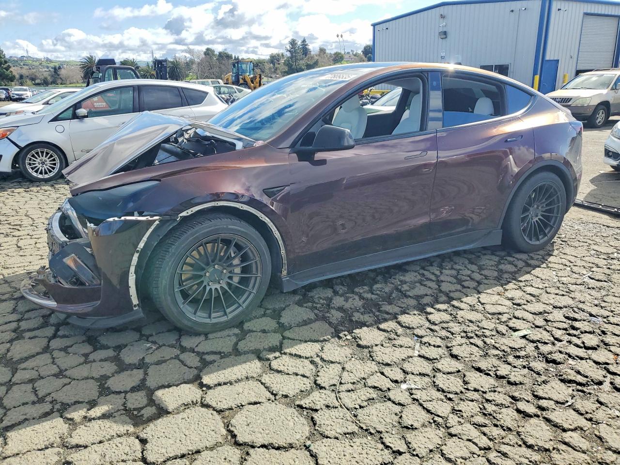 2023 TESLA MODEL Y | 7SAYGDEE2PF683764 | UPCARS